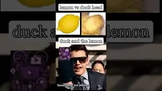 the duck and the lemon are same same same same but different but still same #memes