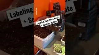 Labeling Seed Starts & Seedling Update | Short
