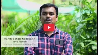 Hands Behind GoodEarth - Tinu Joseph