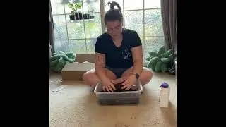 How to make your own DIRT! Few simple steps and ingredients!