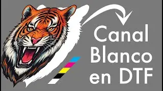 Canal Blanco en DTF: Todo lo que Debes Saber