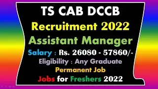 TS CAB Recruitment 2022|Freshers| Salary Rs.26080 - 57860|Permanent Job| All India Apply| Latest Job