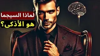 شخصية سيجما النادرة، لماذا يُعتبر رجال السيجما أذكى ؟ 10 أسرارلا يعرفها الكثيرون !