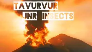 Barike - Tavurvur