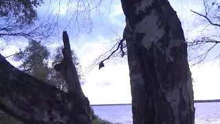природный затест SONY HDR-CX450