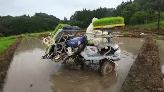 疎植栽培方法🌾田植え機『さなえ』ISEKI  PQZ5