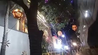 Tree lighting Cinematic videography 