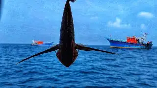 cooking fish curry on the boat| ബോട്ടിലെ കറിയും നാവിലെ രുചിയും⛵😋🤤|EPISODE 1|catch & cook |seafishing