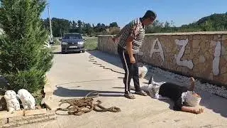 SELJACI I SEOSKI POSLOVI