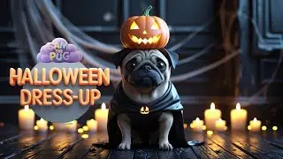 Dress Up for Halloween with Sam The Pug | Spooky Costumes | Learn English | Halloween Kids Cartoons