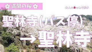 奈良：聖林寺バス停から聖林寺まで歩いてみました