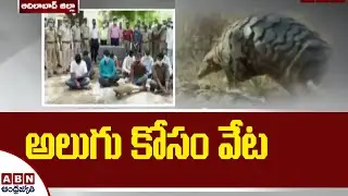 అలుగు కోసం వేట | Alugu Animal Found At Adilabad | ABN Exclusives