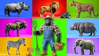 Safari Animal Sounds Song | Nursery Rhyme for Kids - Learn Animal Names and Sounds