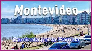 [ Caminata ] MONTEVIDEO Uruguay LA RAMBLA video 4K HDR VLOG