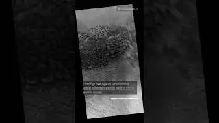 The almost circular sand dunes on Mars!