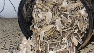 Sunflower seeds using in my donut vase do not waste anything wil be use🫰👀