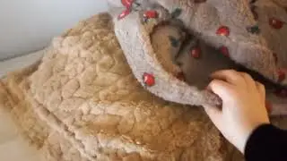 مشترياتي من سوق الاحد أكادير