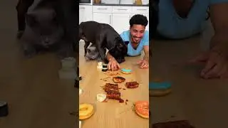 ​This is why I love dogs! ❤️#dog #cat #eatingchallenge #food #pets