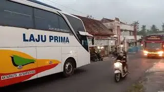laju prima mania ‼️ agramas mania ‼️⁉️