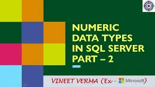 Numeric Data Types - Part 2 | Microsoft SQL Server | Float, Real, int, bigint, smallint, tinyint