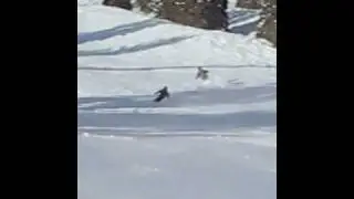 cdb's skiing Solitude
