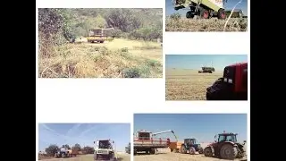 Cosecha de Cereal 2015 // Harvest 2015 (Massey Ferguson, Ebro, Claas, New Holland) [ HD ]