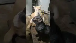 Don't break somebody's heart entry 🤣