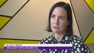 Dr. Kelly Baum worked at The Met in New York City &mdash; now she runs the Des Moines Art Center