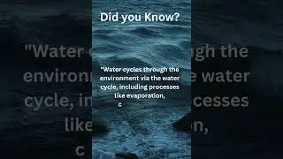 Water facts #31  #waterfacts #protectwater #quotes #safewater #facts #shorts