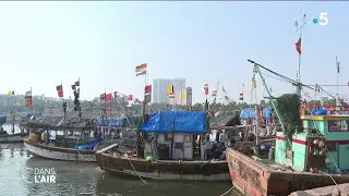 L'Inde, asphyxiée par les déchets - Reportage #cdanslair 05.11.2022