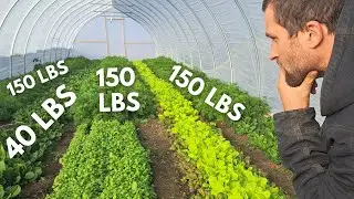 YEAR ROUND HARVEST Made Easy with Proven Garden Journal Methods!