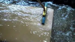 Buffalo Restoration Rug Cleaning
