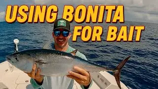 Using Bonita (False Albacore) as Premium Bait for Snapper, Grouper & Triggerfish | Gulf Fishing Tips
