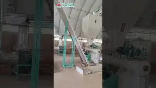 Chicken Feed Pellet Unit for Farm #livestock #poultry #feedmachine #machine #unit #factory