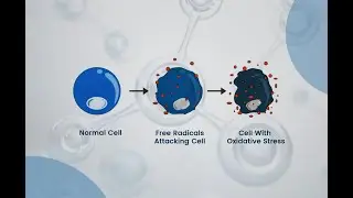 Glutathione Benefits with Provizion GSH