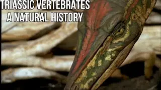 Triassic Vertebrates, A Natural History (Biology, Evolution and Species