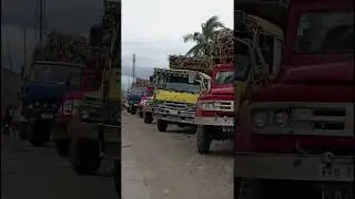 truck hauler in Negros island,,