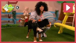 HONDEN | Zin in Zappelin | NPO Zappelin
