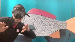 Superfish Parts and Function
