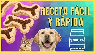 🍪Como preparar un SNACK SALUDABLE para tu mascota🐶😺