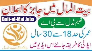 Ehsaas Program Jobs | How To Get Jobs Ehsas Program | Bait Ul Maal Punjab Jobs | Social Welfare Job