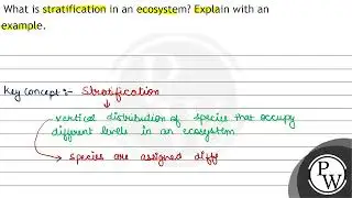 What is stratification in an ecosystem? Explain with an example.
