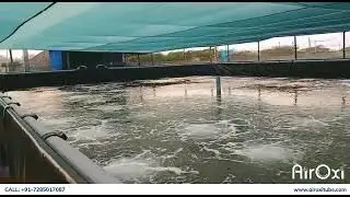 Ideal Aeration Tubes to help high-density fish farming - AirOxi Tube