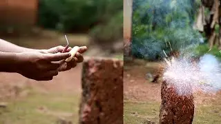 Banana stalk vs firecracker #shorts #firecracker #experiment #m4tech