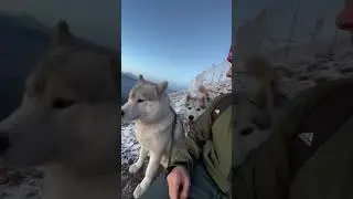 утро в горах🤩 переходи к нам в инстаграмм gggalaktionov 👈 #видео #youtube #горы #забава #кмв #хаски