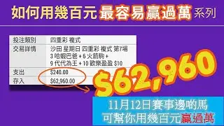 11月12日第6場值得留意的馬匹
