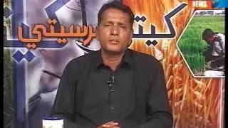 KHETI SAR SETI     04-04-2017