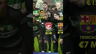 Squad Sporting CP vs Man. City UCL 2024 | Ruben Amorim | Transfer Value #ucl #bintangbola