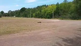 Carson Wild GP Attack Offroad