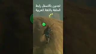 The Legend of Zelda Breath of the Wild #79.3 #Breath_of_the_Wild #BOTW #NintendoSwitch